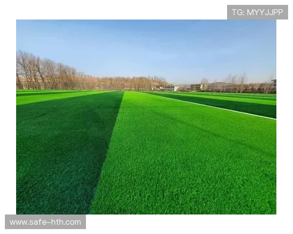 足球场馆可持续改造进展评估，绿色认证标准实施案例